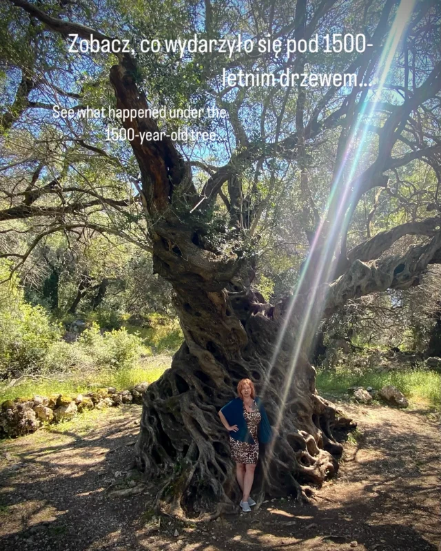 Eng/pl I met Mitera.
The ancient Mother of Olive Trees.
She’s 1500 years old.

She stood here when Corfu belonged to Byzantium.
When women walked in silence, and the moon ruled their days.

I came to her like to a temple.
With reverence. With trembling.
My heart wide open.

When I saw her—twisted, wild, full of stories and power—
I broke into tears.

I cried. Not from sadness.
From awe. From recognition.
From the ancient place in me that remembered Her.

I wanted to give her something.
But I had nothing with me.
Only water.

So I shared it with her.
The same water that nourished me today.
Now we are connected.
The same essence flows through us both.

And then—something happened.
Light broke through the branches.
A single beam struck my chest.
Another wrapped around my feet.

Sky met Earth.
Heaven met Body.
And I stood in-between.

As if Mitera answered me.
As if the world whispered:
“Yes, Daughter. I see you too.”

She still gives birth to olives.
Still nourishes.
Still remembers.

And I will never forget this moment.
—
🇵🇱 
Spotkałam Miterę.
Starą Matkę Drzew Oliwnych.
Ma 1500 lat.

Stała tu, gdy Korfu należało do Bizancjum.
Gdy kobiety chodziły w ciszy, a rytm ich życia był wyznaczany przez taniec cykliczności księżyca.

Szłam do Niej jak do świątyni.
Z szacunkiem. Ze wzruszeniem.
Z otwartym sercem.

Gdy Ją zobaczyłam — poskręcaną, dziką, pełną opowieści i mocy —
rozpłakałam się.

Płakałam. 
Nie ze smutku.
Z zachwytu. 
Z rozpoznania.
Z tego pradawnego miejsca we mnie, które Ją pamięta.

Chciałam dać Jej coś w darze.
Ale nie miałam nic.
Tylko wodę.

Podzieliłam się nią.
Tą samą, która poiła dziś mnie.
Teraz coś nas łączy.
Ta sama esencja krąży w naszych ciałach.

A potem — wydarzyło się coś niezwykłego.
Światło przebiło się przez gałęzie.
Jeden promień trafił prosto w moje serce.
Drugi objął stopy.

Niebo spotkało Ziemię.
Duch dotknął Ciała.
A ja stałam pośrodku.

Jakby Mitera odpowiedziała.
Jakby świat szeptał:
“Tak, Córko. Widzę Cię.”

Ona wciąż rodzi oliwki.
Wciąż karmi.
Wciąż pamięta.

A ja nigdy nie zapomnę tej chwili.